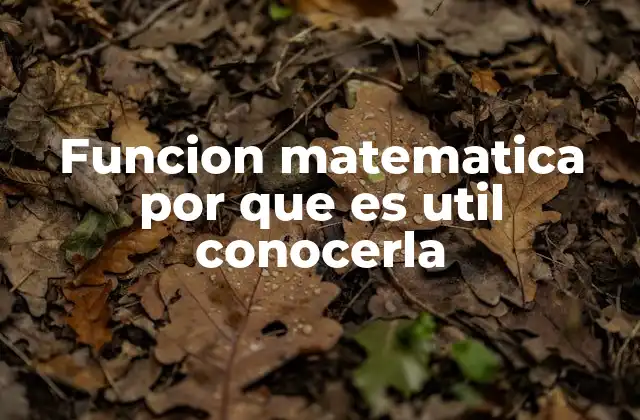 Funcion Matematica por que es Util Conocerla