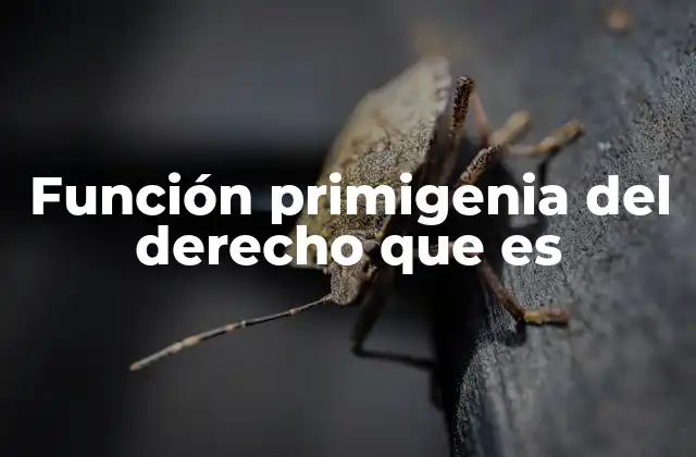 Función Primigenia Del Derecho que es