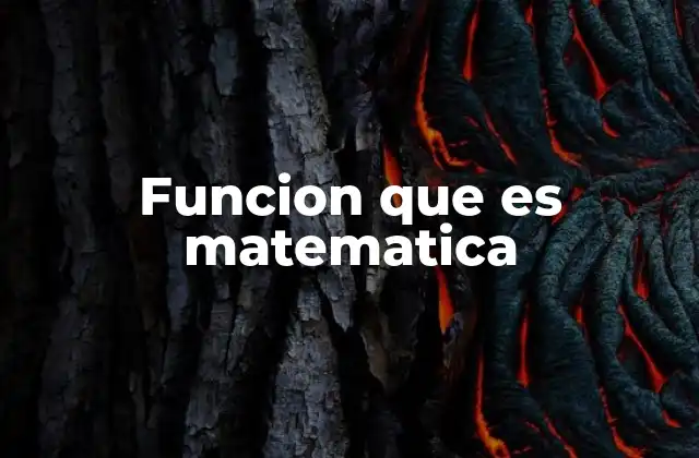Funcion que es Matematica