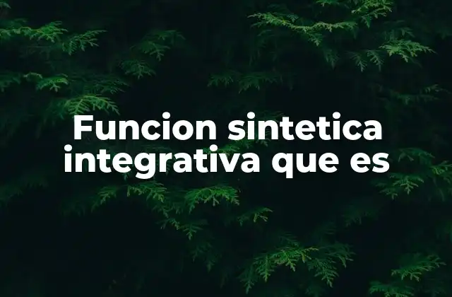 Funcion Sintetica Integrativa que es
