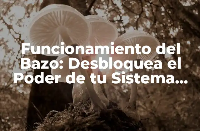 Funcionamiento Del Bazo: Desbloquea el Poder de Tu Sistema Inmunológico