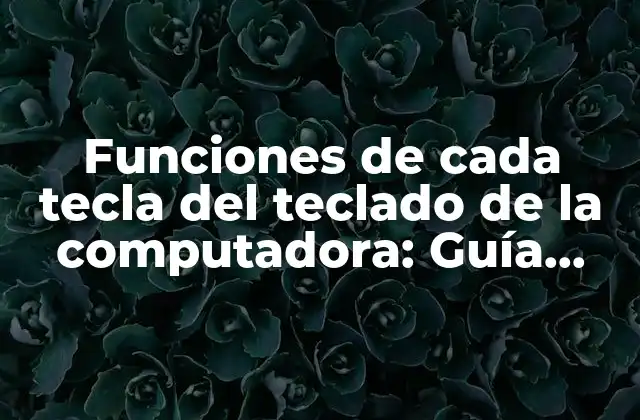 Funciones de Cada Tecla Del Teclado de la Computadora: Guía Completa