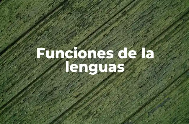 Funciones de la Lenguas