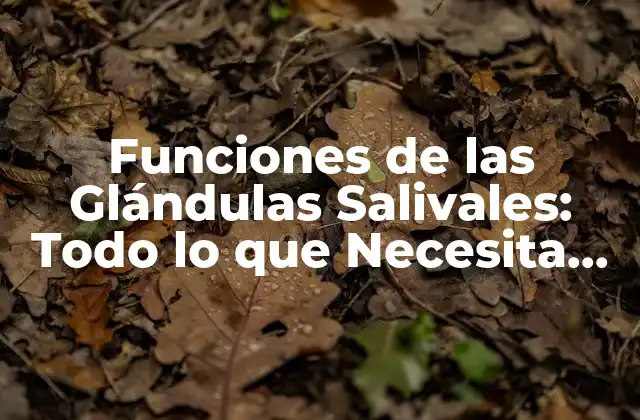 Funciones de las Glándulas Salivales: Todo Lo que Necesita Saber