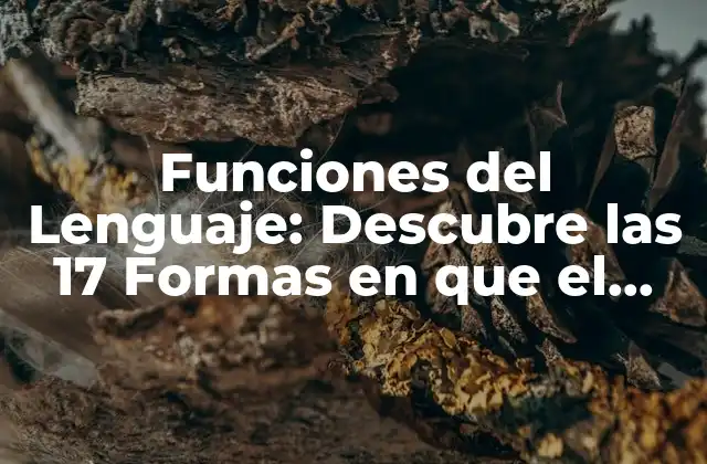 Funciones Del Lenguaje: Descubre las 17 Formas en que el Lenguaje Nos Ayuda a Comunicar