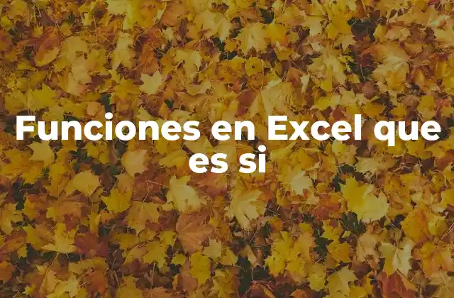Funciones en Excel que es Si