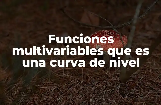 Funciones Multivariables que es una Curva de Nivel