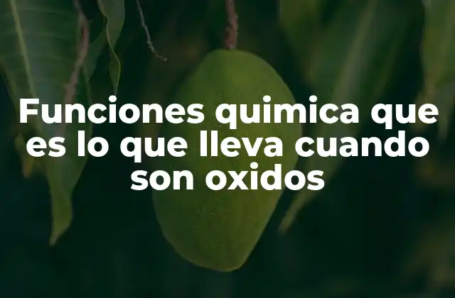 Funciones Quimica que es Lo que Lleva Cuando Son Oxidos