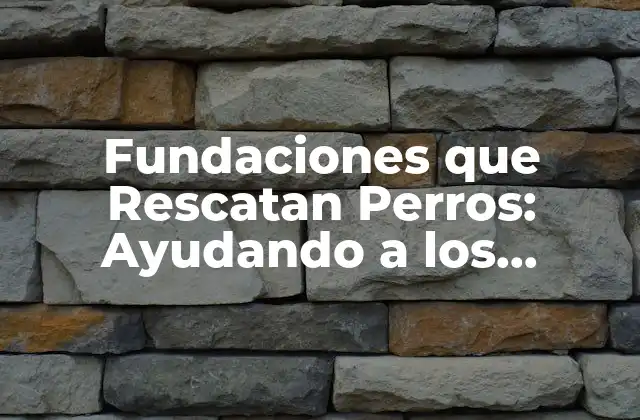 Fundaciones que Rescatan Perros: Ayudando a los Caninos en Necesidad