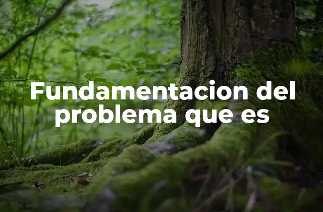 Fundamentacion Del Problema que es