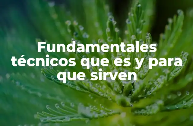 Fundamentales Técnicos que es y para que Sirven