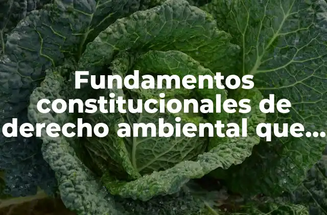 Fundamentos Constitucionales de Derecho Ambiental que es
