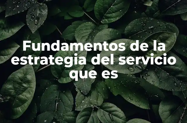 Fundamentos de la Estrategia Del Servicio que es