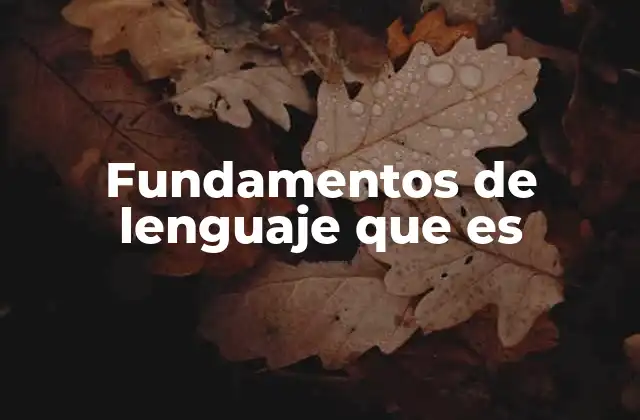 Fundamentos de Lenguaje que es
