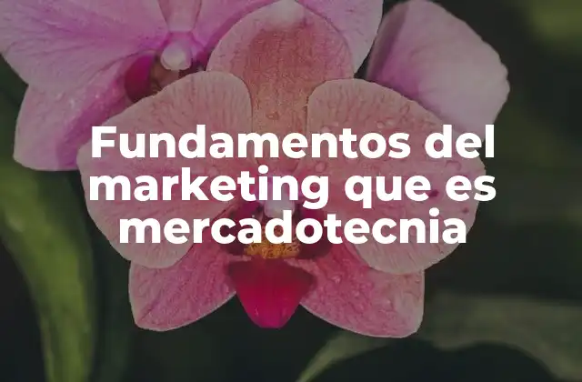 Fundamentos Del Marketing que es Mercadotecnia