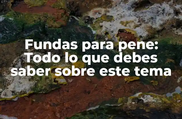 Fundas para Pene: Todo Lo que Debes Saber sobre Este Tema