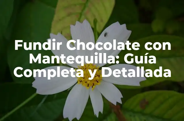 ¿Por qué Fundir Chocolate con Mantequilla es Importante?
