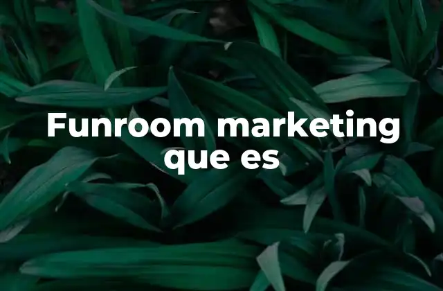 Funroom Marketing que es
