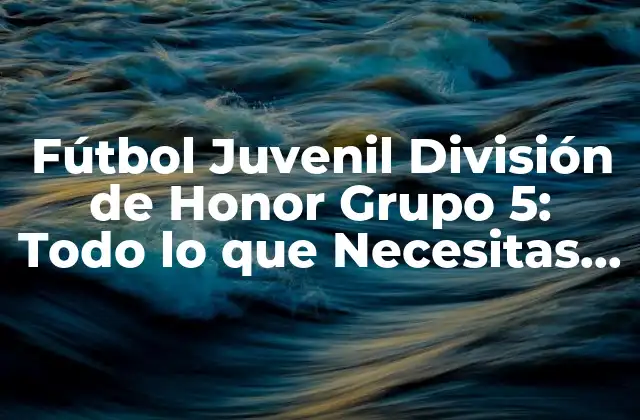 Fútbol Juvenil División de Honor Grupo 5: Todo Lo que Necesitas Saber