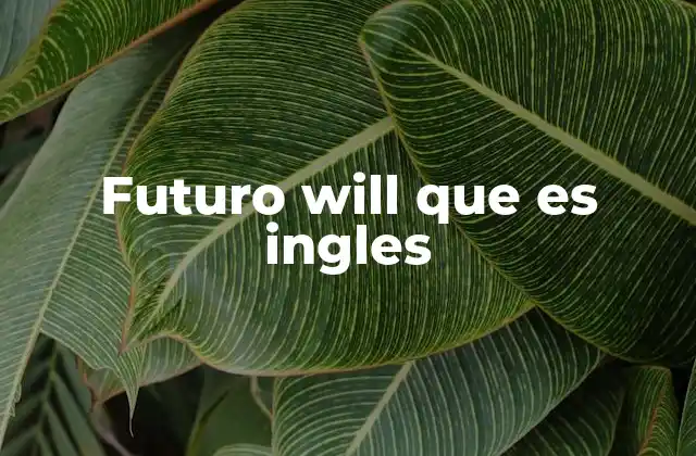 Futuro Will que es Ingles