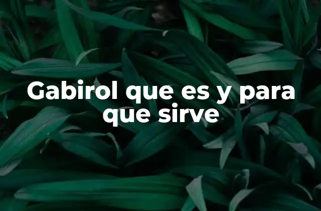 Gabirol que es y para que Sirve