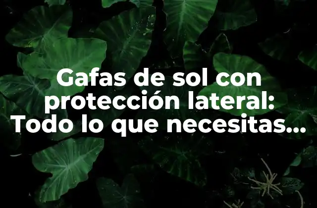 Gafas de Sol con Protección Lateral: Todo Lo que Necesitas Saber