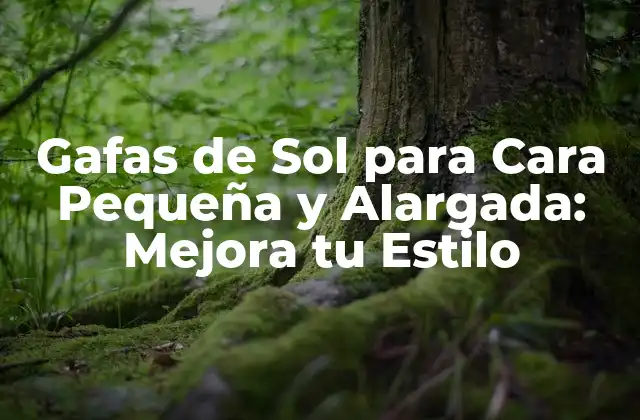 Gafas de Sol para Cara Pequeña y Alargada: Mejora Tu Estilo