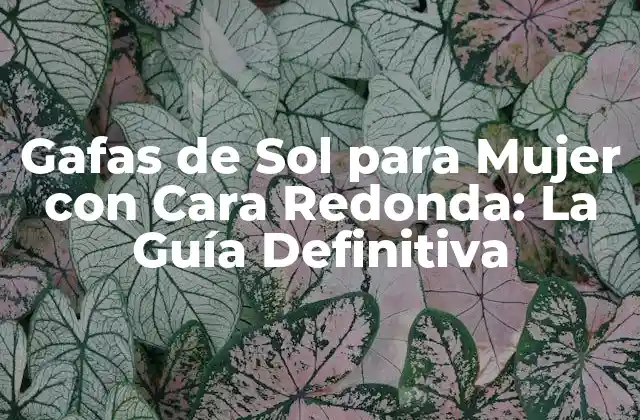 Gafas de Sol para Mujer con Cara Redonda: la Guía Definitiva