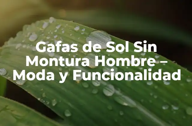 Características de las Gafas de Sol Sin Montura Hombre