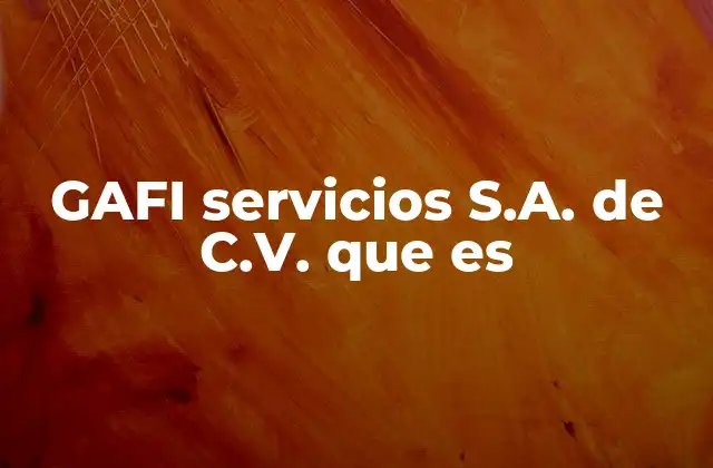 Gafi Servicios S.a. de C.v. que es