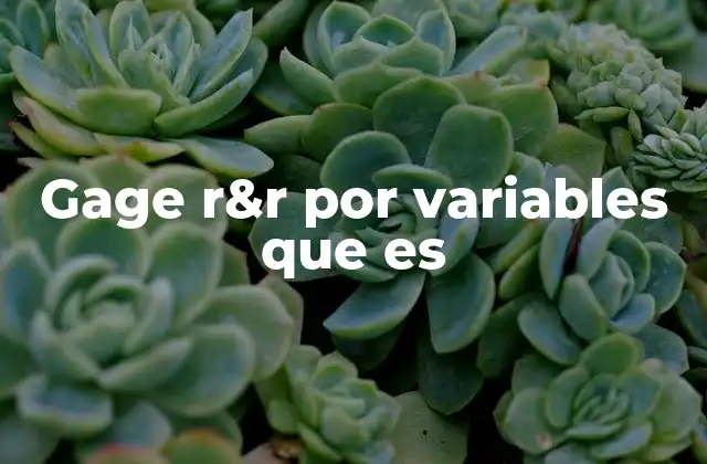 Gage R&r por Variables que es