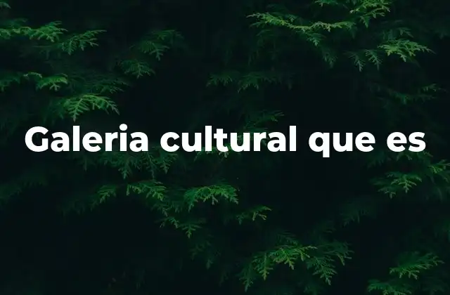 Galeria Cultural que es
