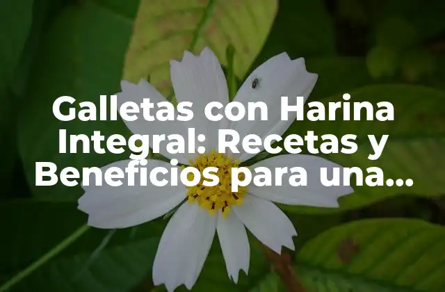 Galletas con Harina Integral: Recetas y Beneficios para una Alimentación Saludable