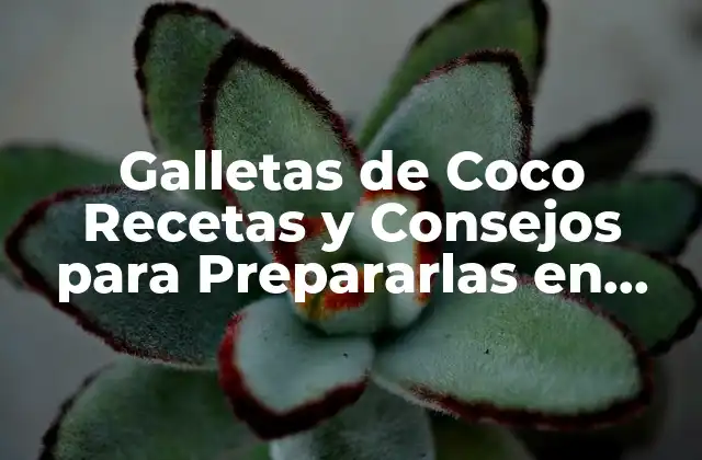 Galletas de Coco Recetas y Consejos para Prepararlas en Casa