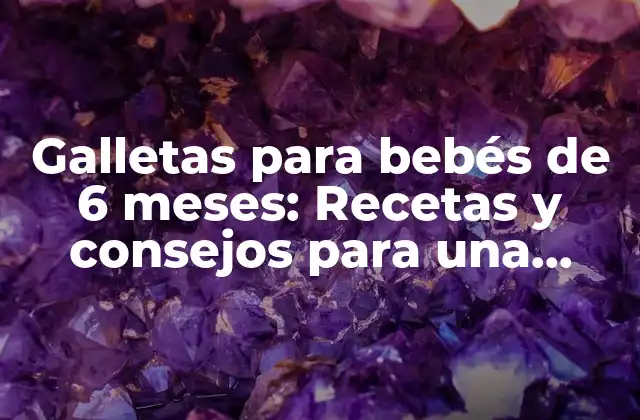 Galletas para Bebés de 6 Meses: Recetas y Consejos para una Alimentación Saludable