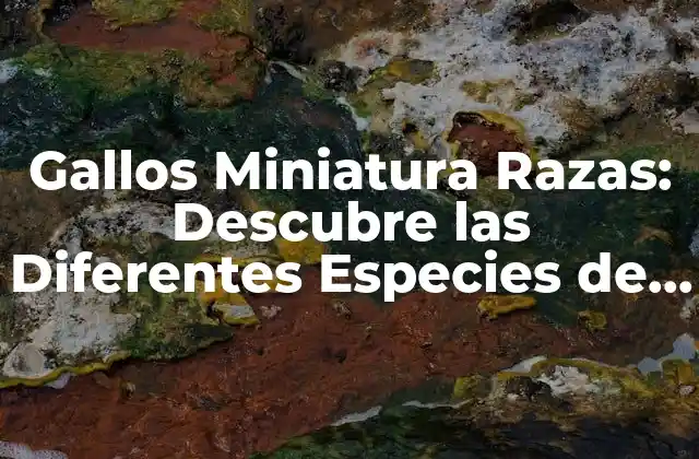 Gallos Miniatura Razas: Descubre las Diferentes Especies de Gallos Enanos