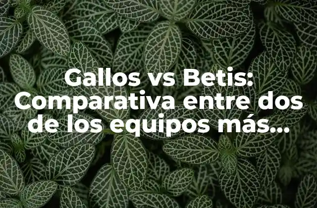 Gallos Vs Betis: Comparativa entre Dos de los Equipos Más Emblemáticos de México y España