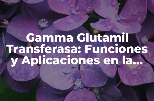 Gamma Glutamil Transferasa: Funciones y Aplicaciones en la Salud