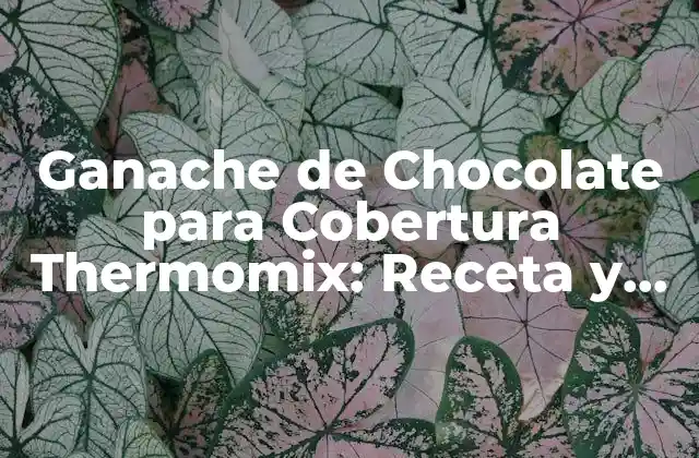 Ganache de Chocolate para Cobertura Thermomix: Receta y Técnicas