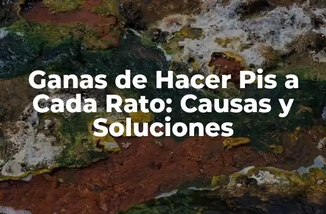 ¿Cuáles son las Causas de las Ganas de Hacer Pis a Cada Rato?
