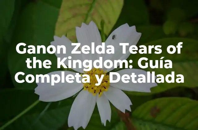 La Trama de Ganon Zelda Tears of the Kingdom