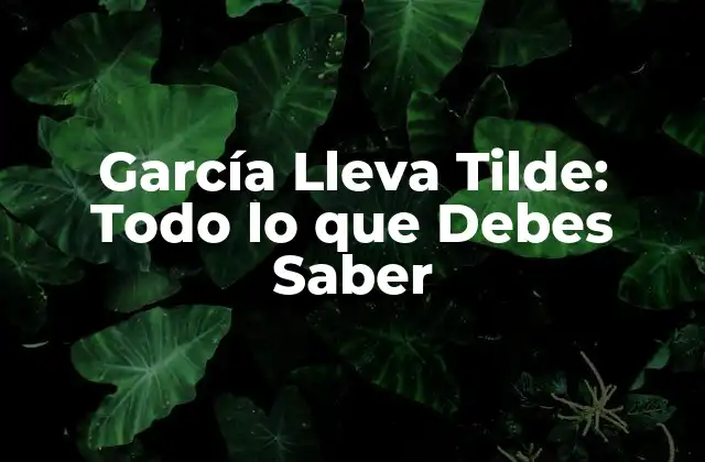 García Lleva Tilde: Todo Lo que Debes Saber