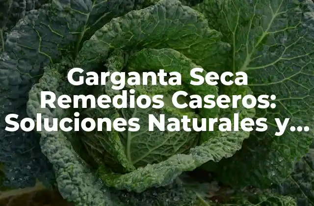 Garganta Seca Remedios Caseros: Soluciones Naturales y Efectivas