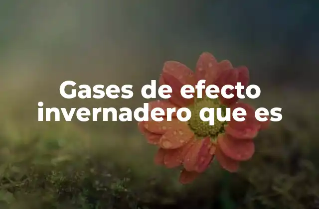 Gases de Efecto Invernadero que es
