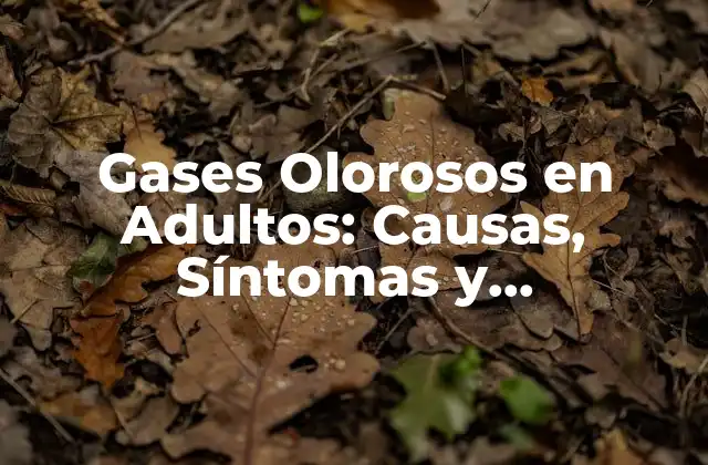 Gases Olorosos en Adultos: Causas, Síntomas y Tratamientos