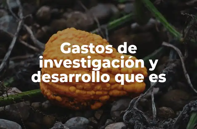 Gastos de Investigación y Desarrollo que es