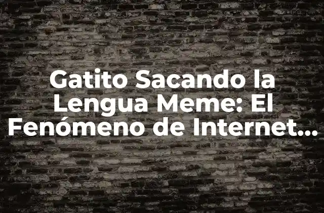 Gatito Sacando la Lengua Meme: el Fenómeno de Internet que Conquista Corazones