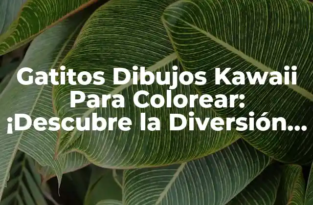 Gatitos Dibujos Kawaii para Colorear: ¡descubre la Diversión de los Gatos Adorables!