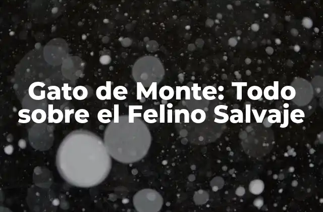 Gato de Monte: Todo sobre el Felino Salvaje