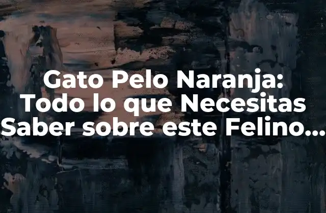 Gato Pelo Naranja: Todo Lo que Necesitas Saber sobre Este Felino Único